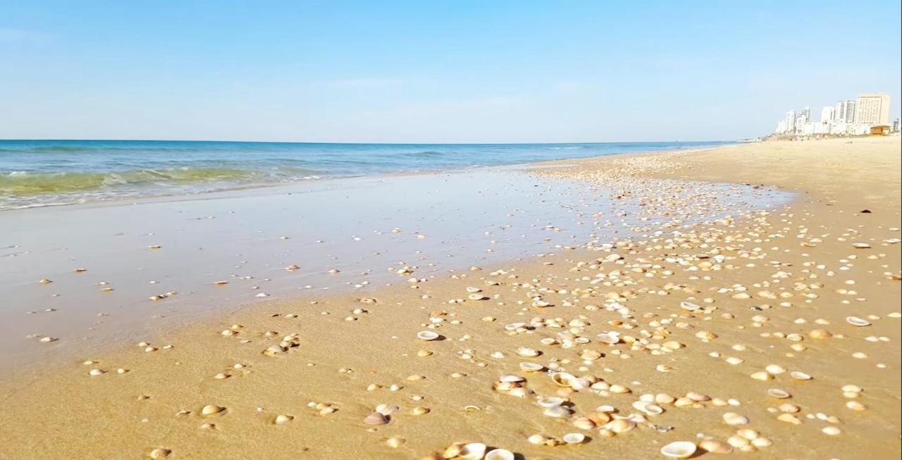 Beachfront Studio Apartment Bat Yam 412 Екстериор снимка